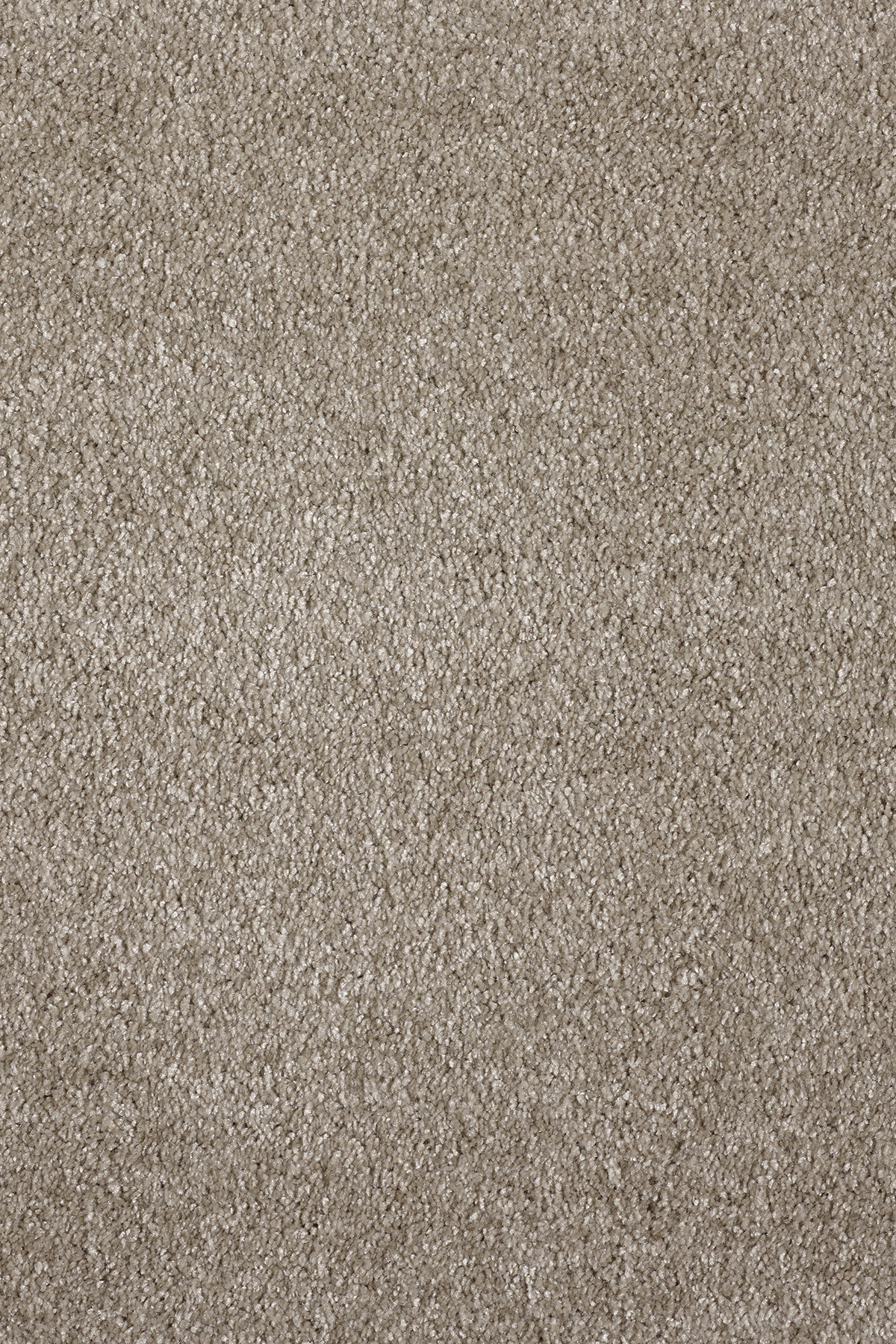 Ковровое покрытие "Bonkeel" Parana 34 (ширина 4м/5м) — купить в Сыктывкаре