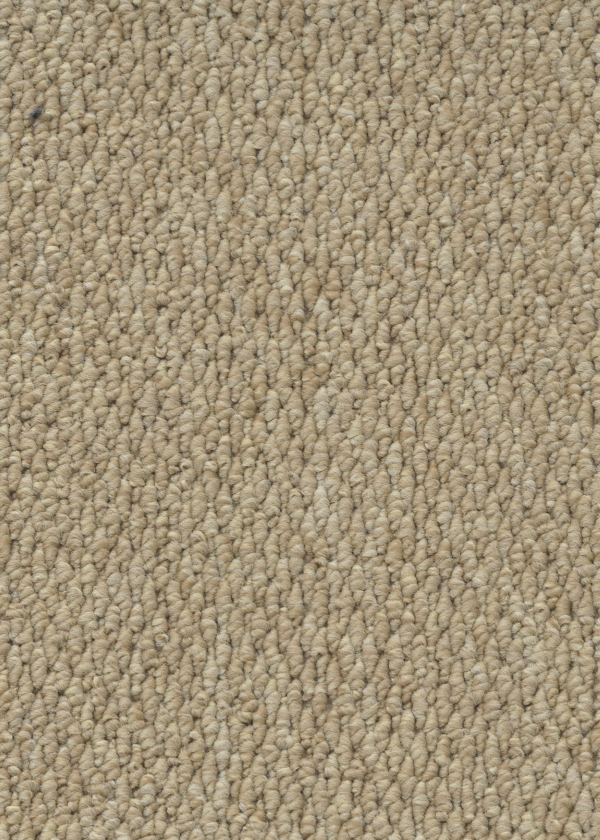 Ковровое покрытие "Bonkeel" Skye 50 (ширина 4м) — купить в Сыктывкаре